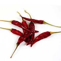 Kaushik Agri Exports