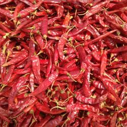 Kaushik Agri Exports