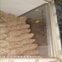 Kaushik Agri Exports