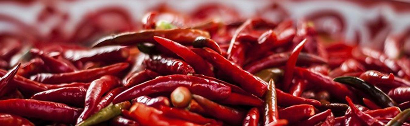 Kaushik Agri Exports