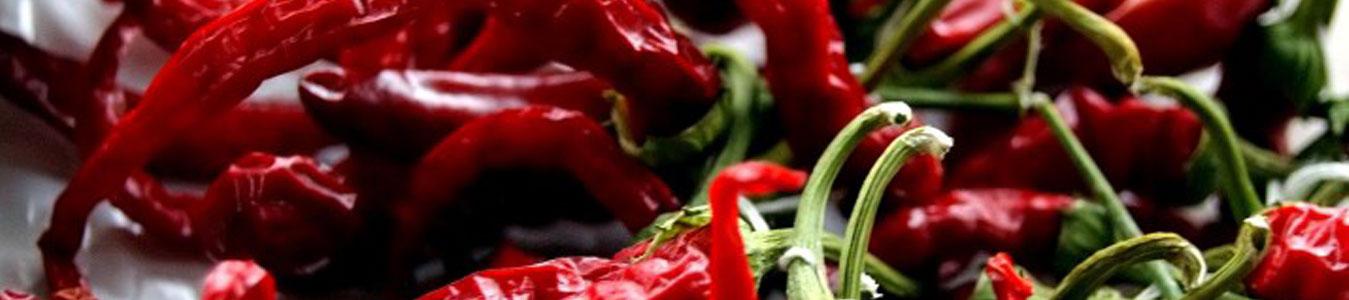 Kaushik Agri Exports