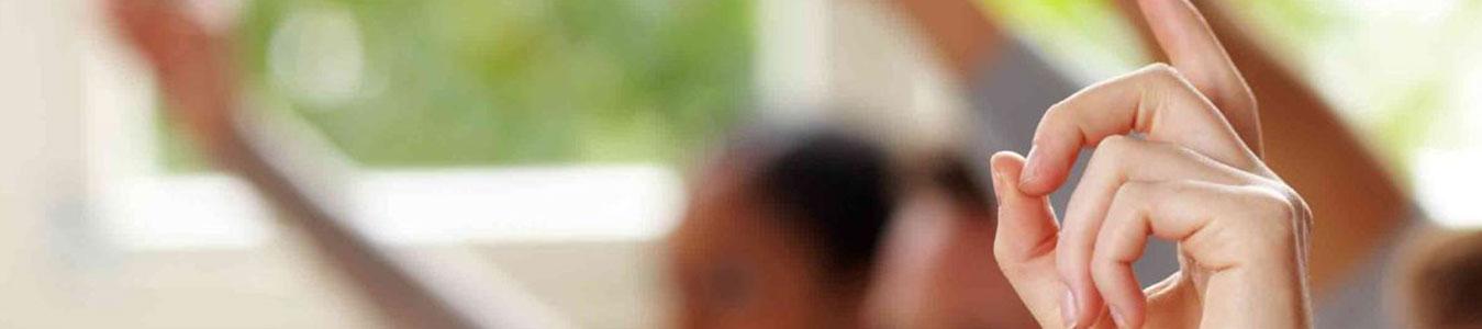 Kaushik Agri Exports