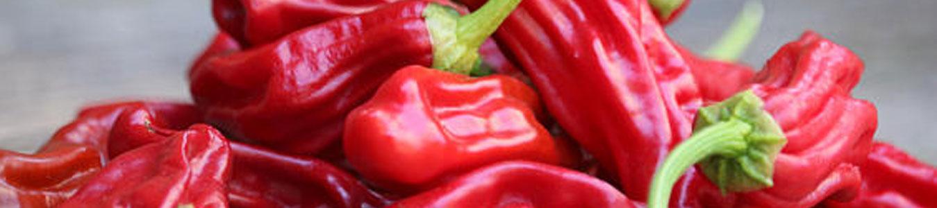 Kaushik Agri Exports