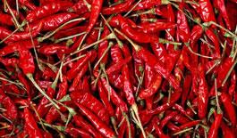 Kaushik Agri Exports