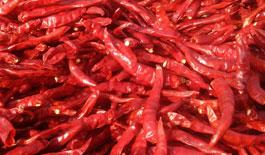 Kaushik Agri Exports