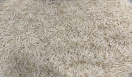 Kaushik Agri Exports